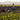 BERCHER
